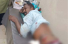 Kadaba: Man injured in wild elephant attack
